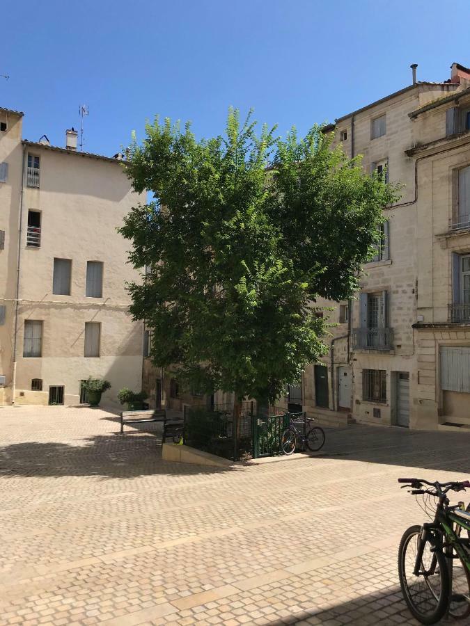 Super Appart T2 - Historic Center - Idealement Situe Montpellier Exteriör bild